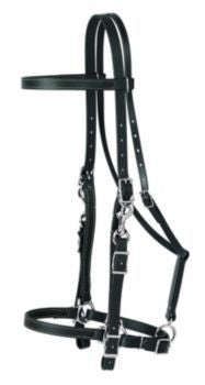 Weaver Brahma Synthetic Halter Bridle