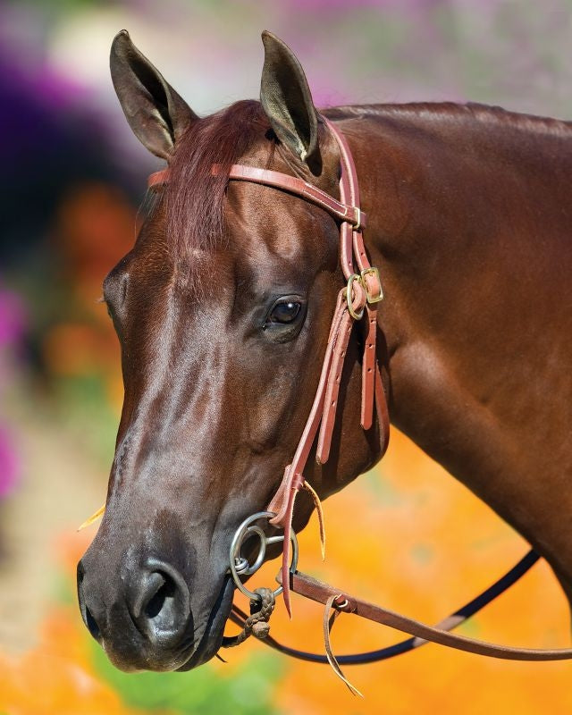 Bob Avila Dbl Buckle Headstall with Dbl Ring Snaffle