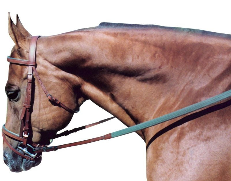 Tory Leather Padded Flat Bridle