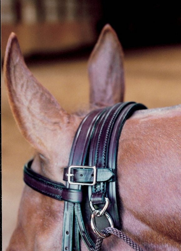 Tory Leather Chambon