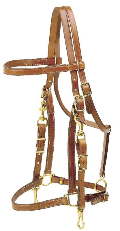 Tory Harness Leather Trail Bridle