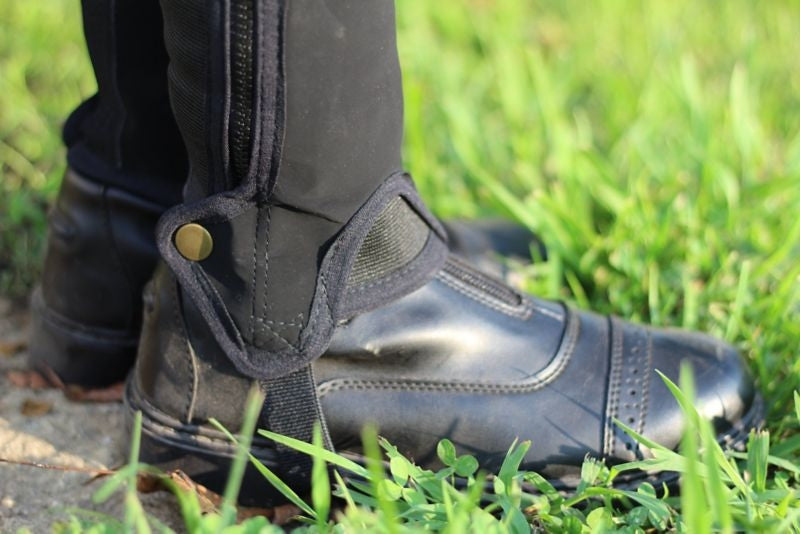 TuffRider Child Grippy Nubuck Half Chap