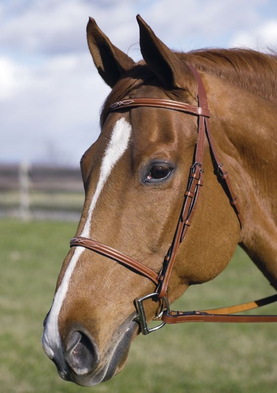 Henri De Rivel Fancy Raised Bridle