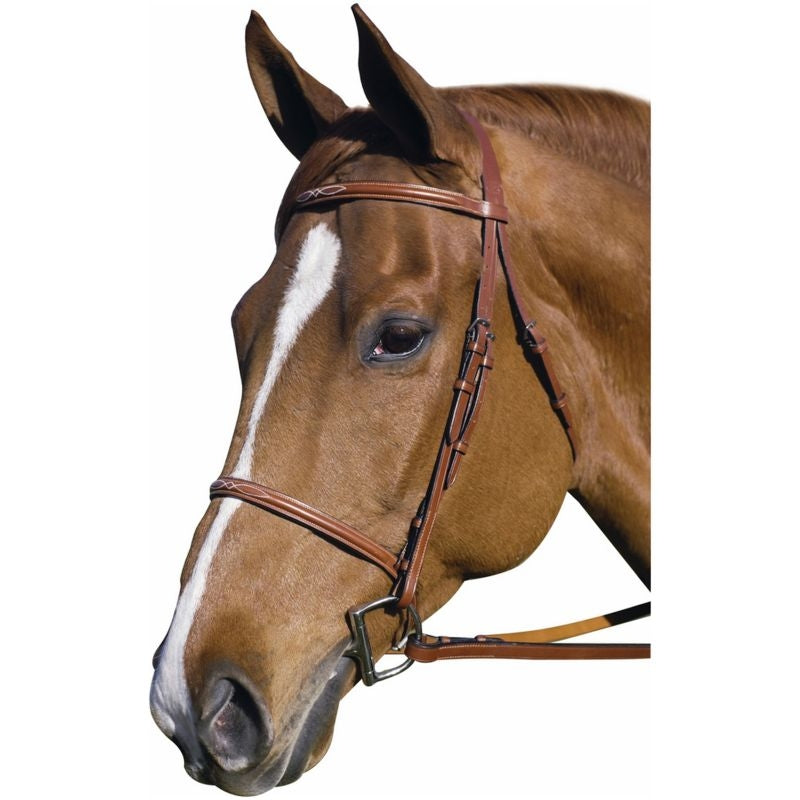Henri De Rivel Fancy Raised Bridle