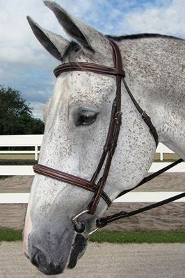 HDR Pro Mono Crown Fancy Padded Bridle