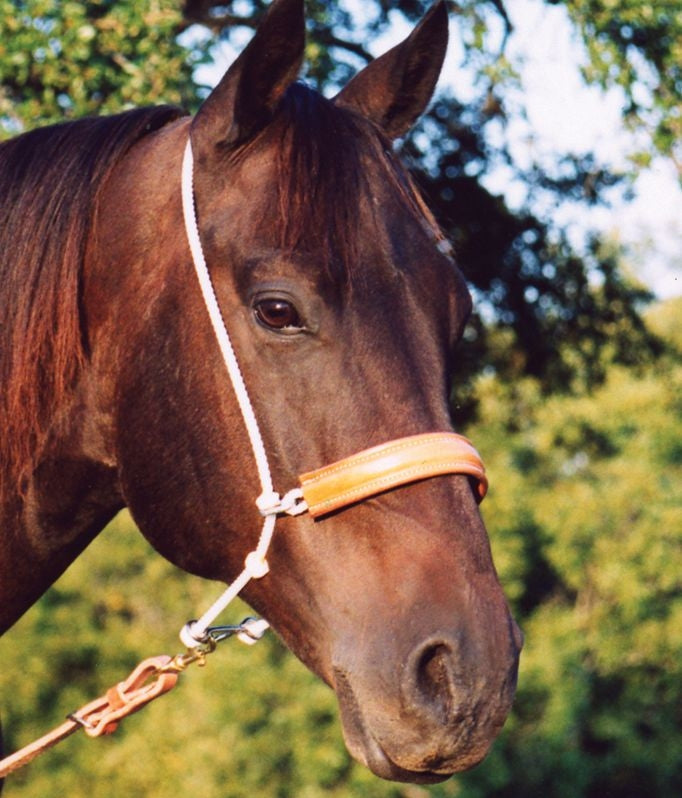 Martin Leather Covered Double Rope Noseband