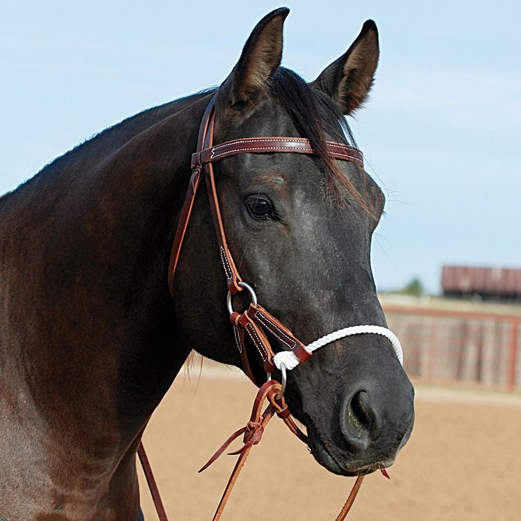 Classic Equine Latigo Single Rope Side Pull
