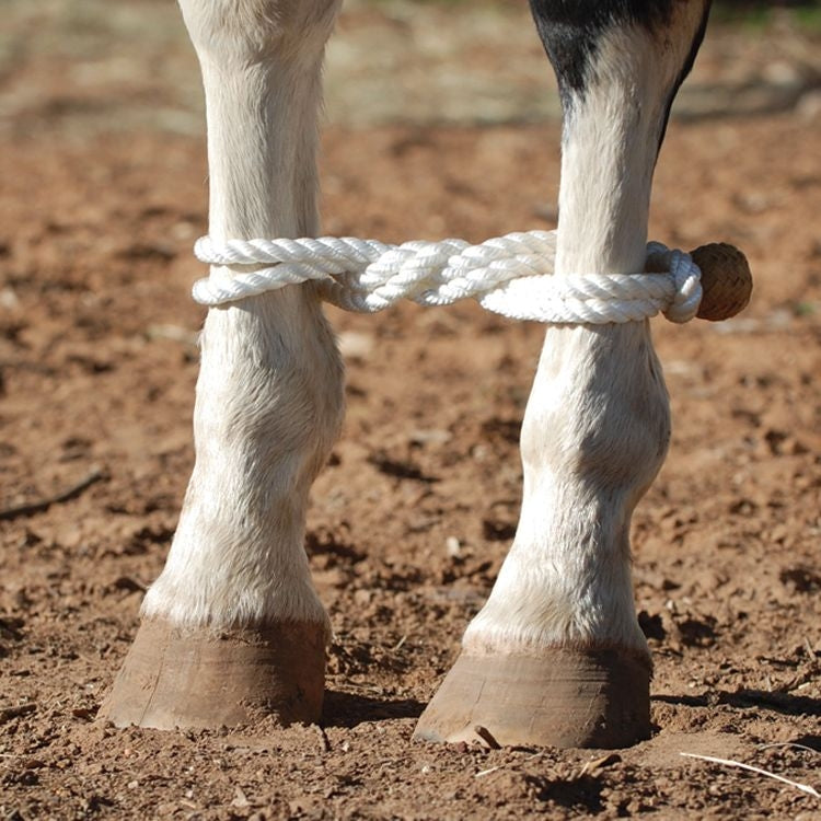 Classic Button Rope Hobble