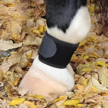 Professionals Choice VenTECH Pastern Wraps