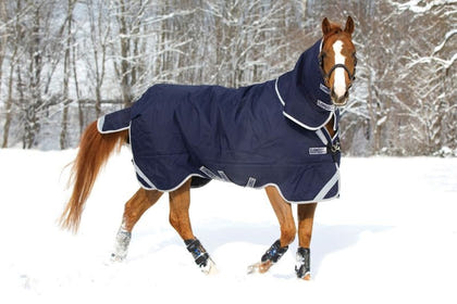 Rambo Original Leg Arch Blanket