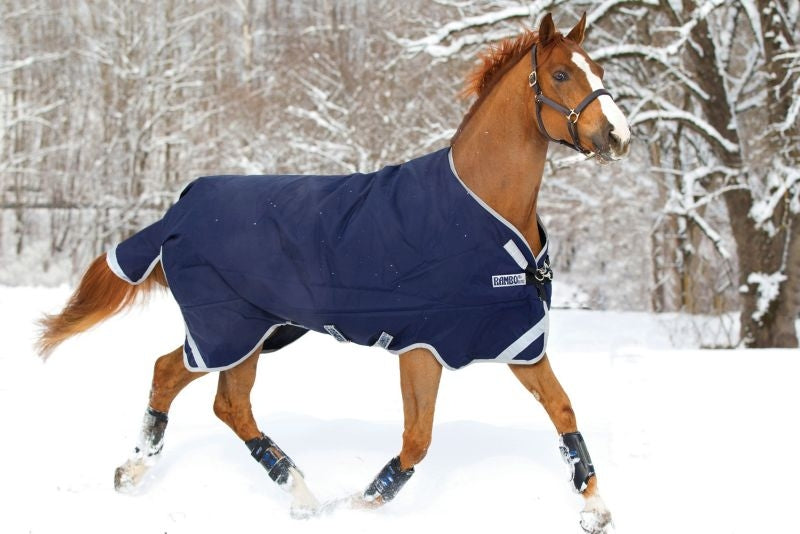 Rambo Original Leg Arch Blanket