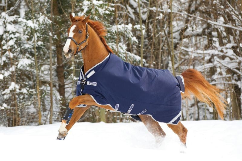 Rambo Original Leg Arch Blanket