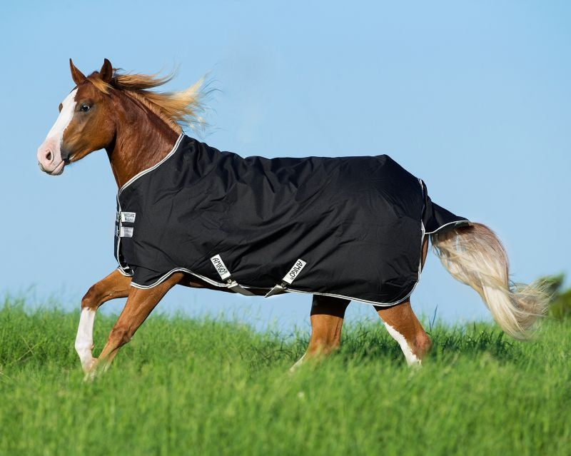 Amigo Stock Horse Turnout Sheet