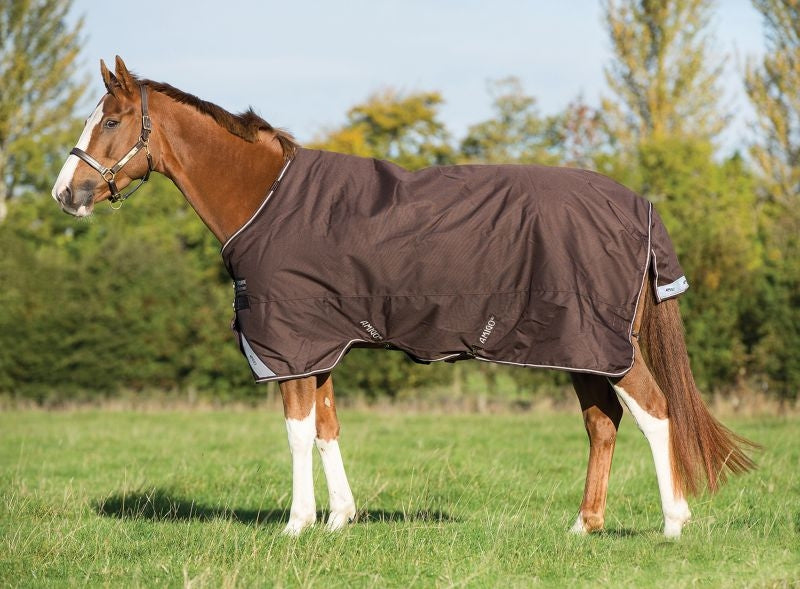 Amigo Bravo 12 Original Turnout 250g