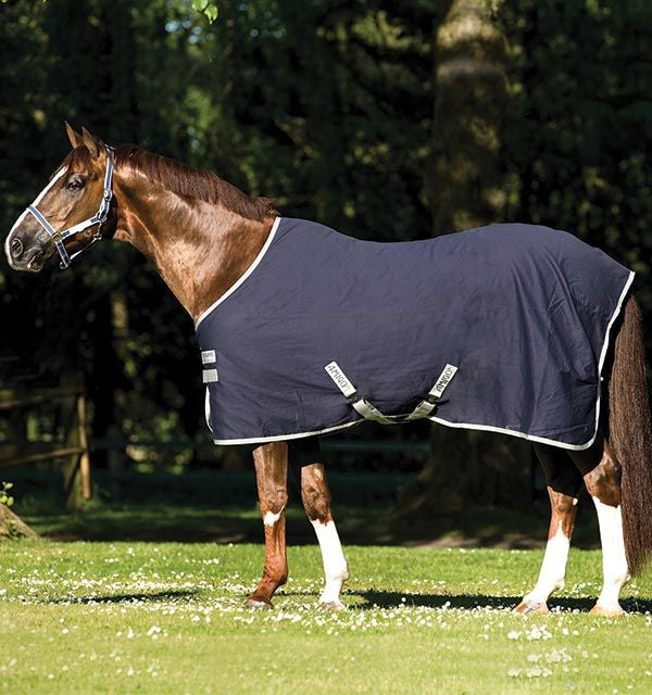 Amigo Stable Sheet