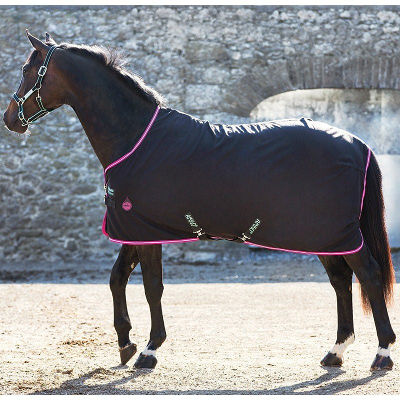 Amigo Stable Sheet