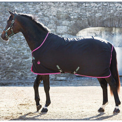 Amigo Stable Sheet