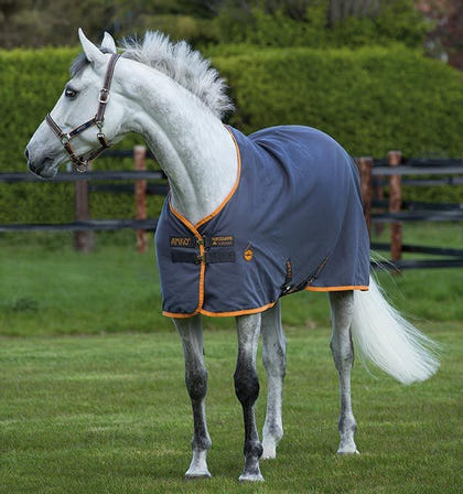Amigo Stable Sheet