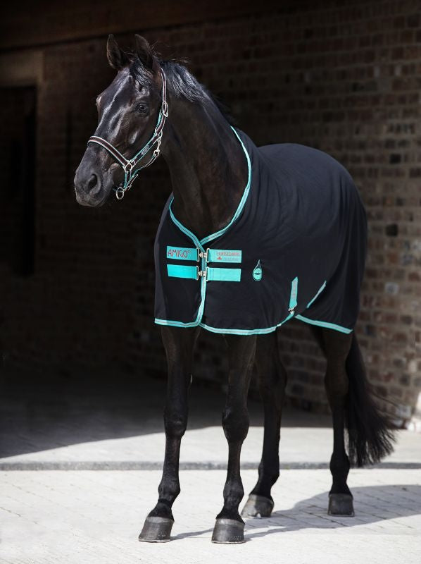 Amigo Stable Sheet