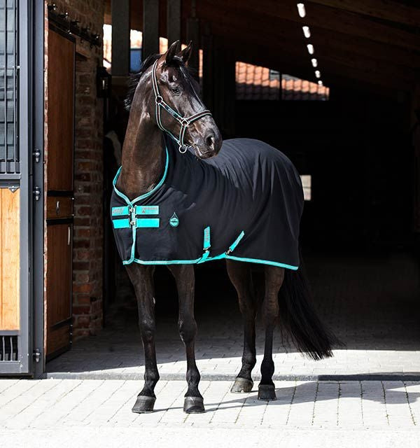 Amigo Stable Sheet