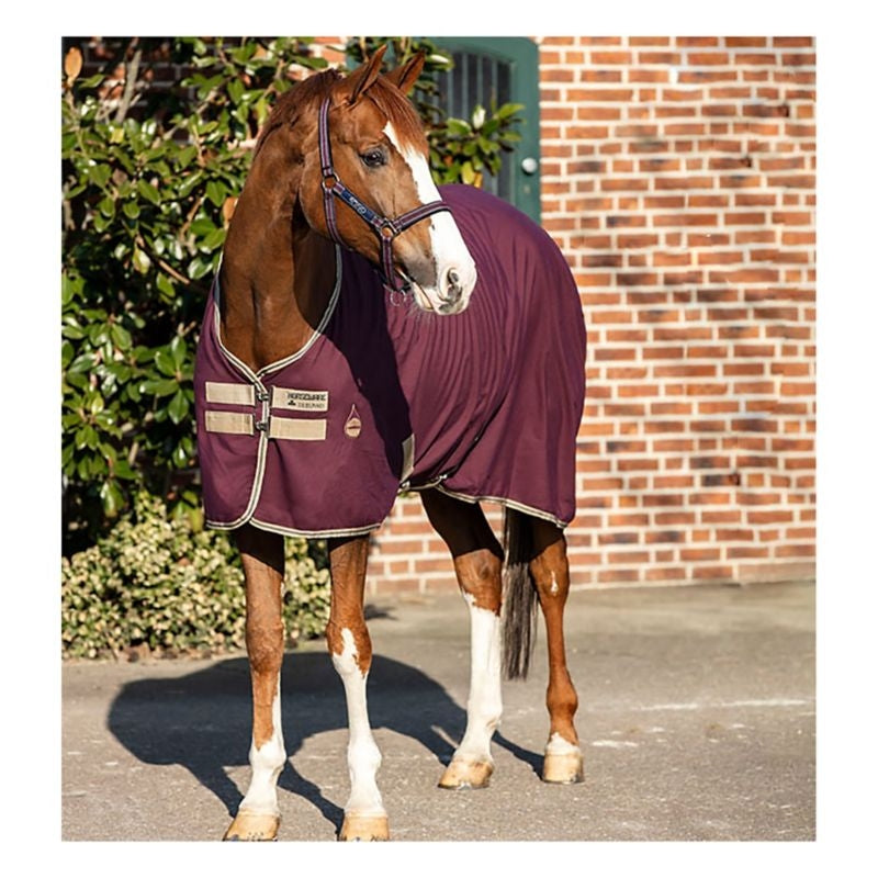 Amigo Stable Sheet