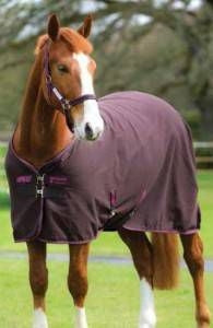 Amigo Stable Sheet