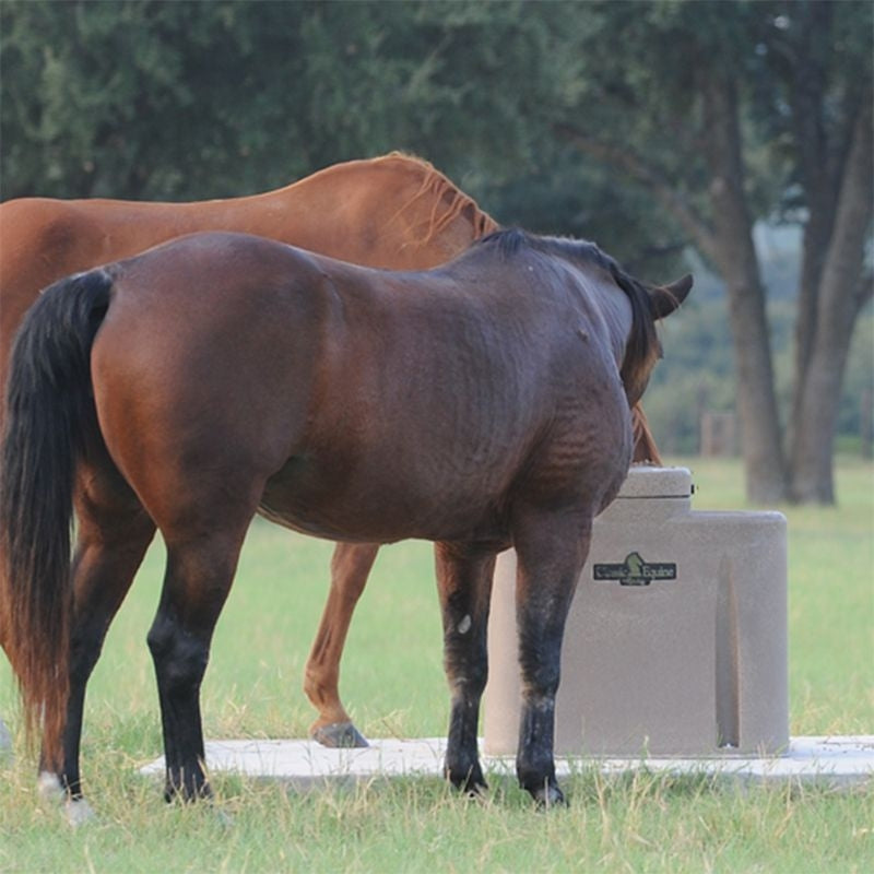 Classic Equine AUTOFOUNT Waterer