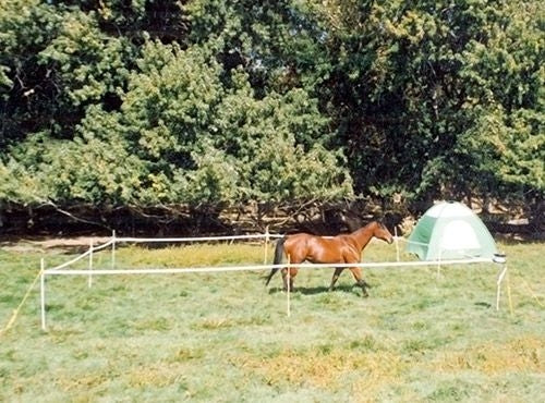 Powerfields Portable Corral