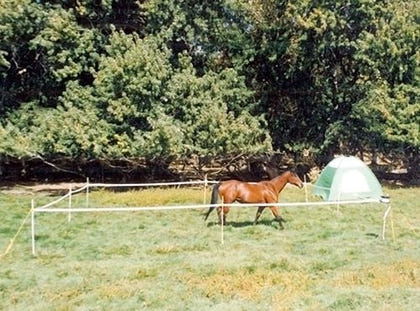 Powerfields Portable Corral