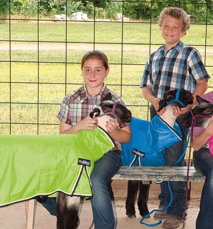 ProCool Mesh Sheep Blanket
