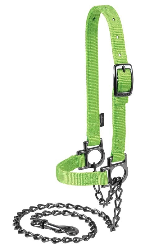 Adjustable Sheep Halter Graphite Hardware