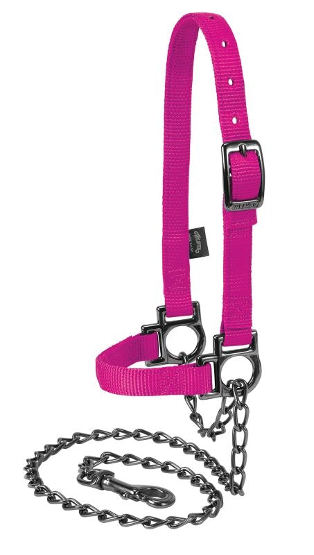 Adjustable Sheep Halter Graphite Hardware