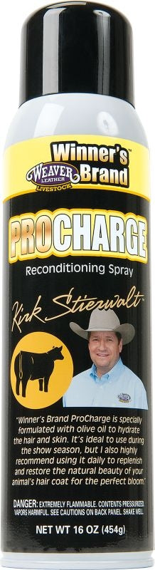 Stierwalt ProCharge Reconditioning Spray