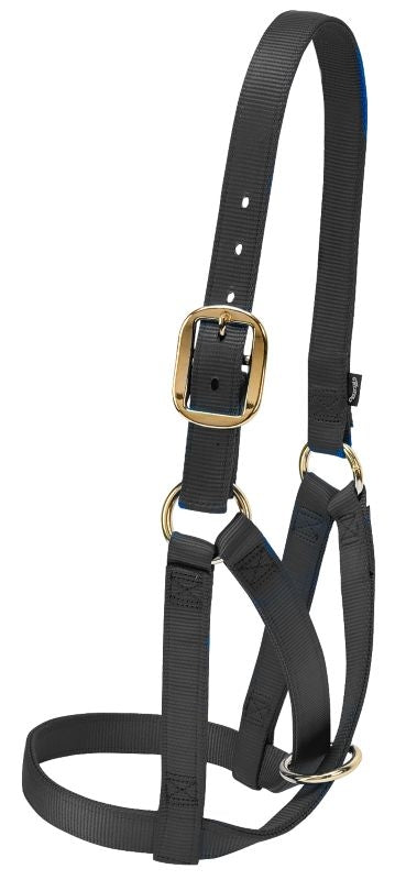 Weaver Leather Barn Cow Halter