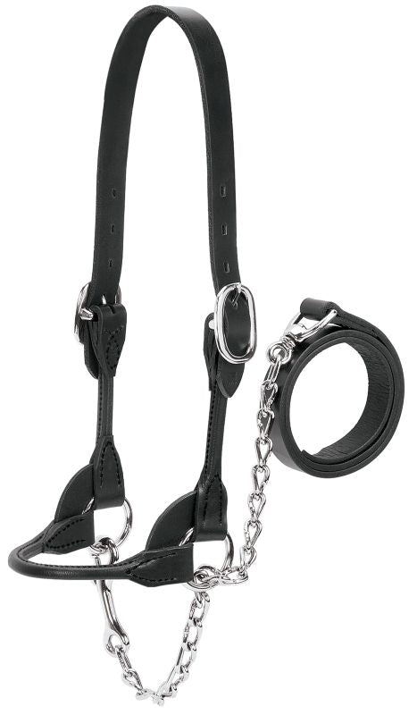 Dairy Beef Rounded Show Halter