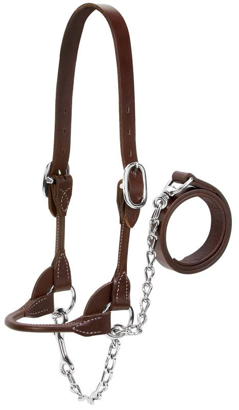 Dairy Beef Rounded Show Halter