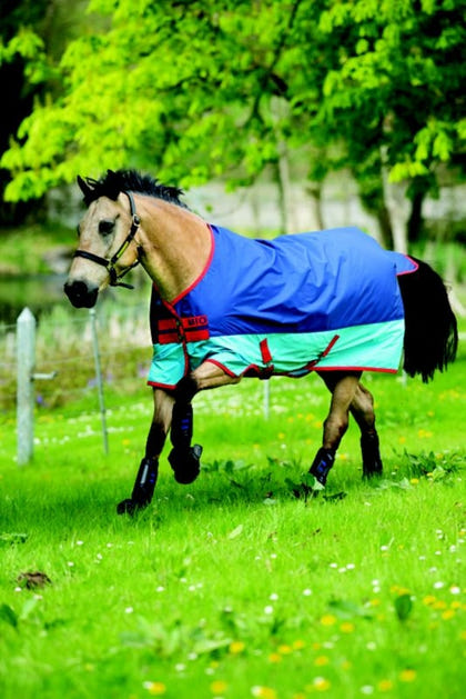 Mio Turnout Blanket Medium