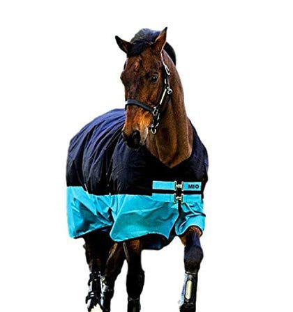 Mio Turnout Blanket Medium