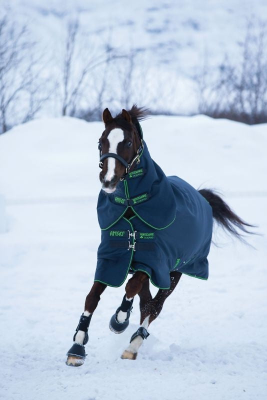 Amigo Bravo 12 Plus Pony Turnout Blanket 250g