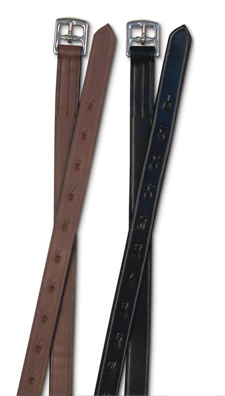 Passport 1 inch Stirrup Leathers