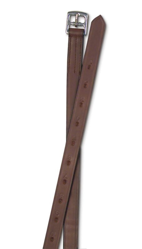 Passport 1 inch Stirrup Leathers