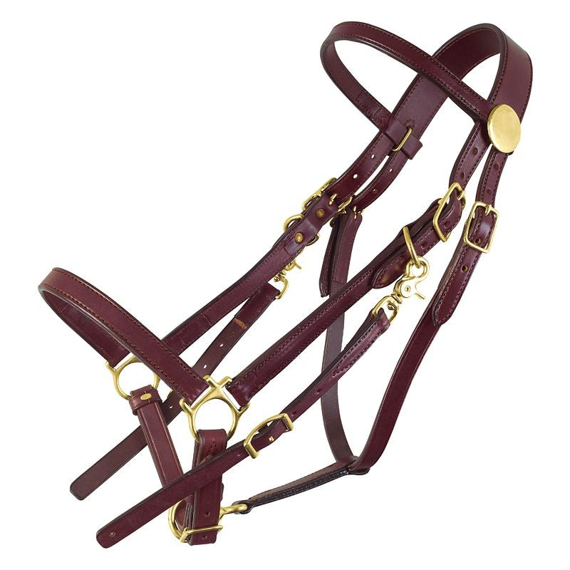 Tucker Standard Halter Bridle with Brass