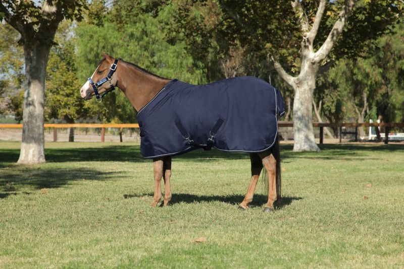 Kensington All Around Pony 80G Turnout