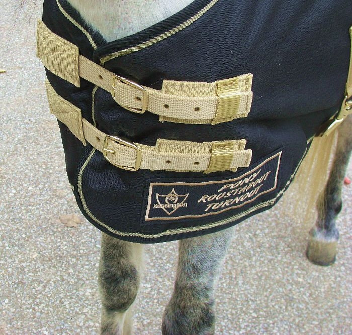 Kensington All Around Pony 80G Turnout