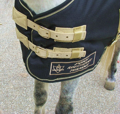 Kensington All Around Pony 80G Turnout