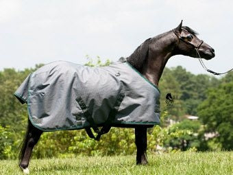 Kensington All Around Pony 80G Turnout