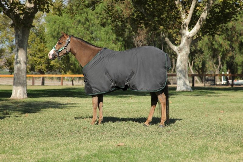 Kensington All Around Pony 80G Turnout