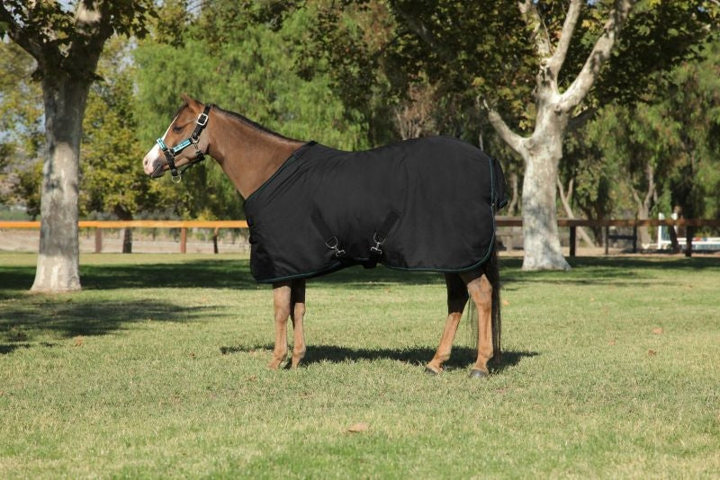 Kensington All Around Pony 80G Turnout