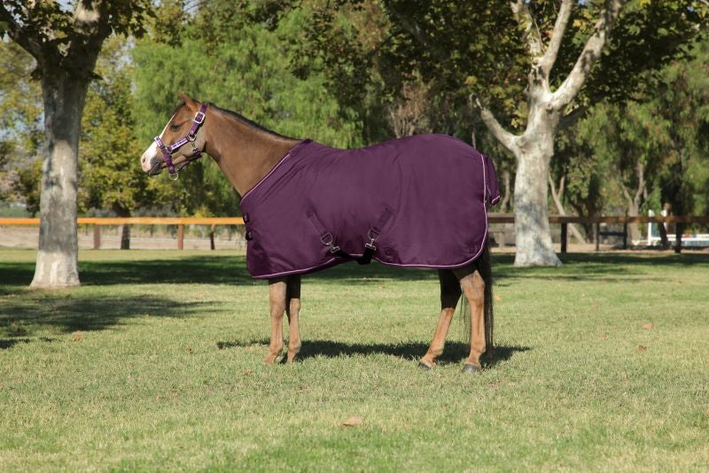 Kensington All Around Pony 80G Turnout