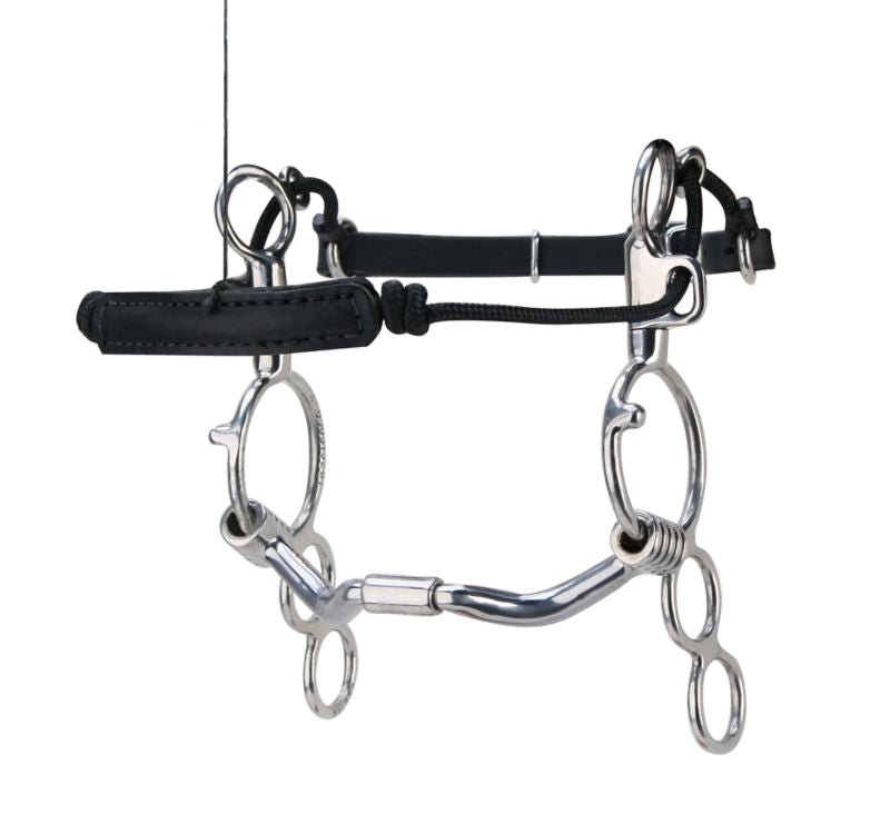 Myler SS 3Ring Combo Bit 6 Shank Port Barrel